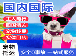 丽江机场货运国际宠物托运 【国